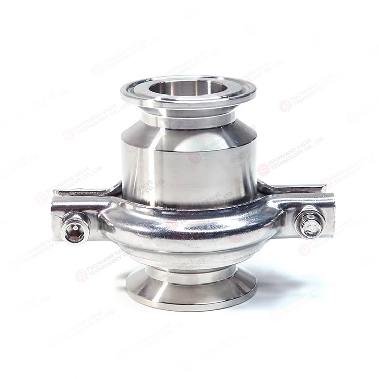 Sanitary quick-install check valve